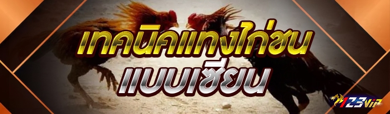 เทคนิคแทงไก่ชน แบบเซียน